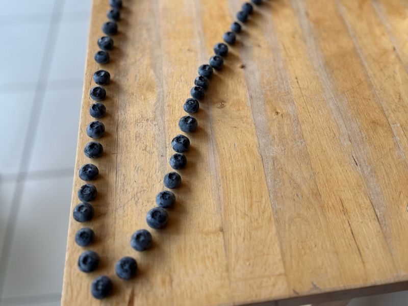 12 von 12 Juli 2023: 1 von 12 - Blaubeeren zählen