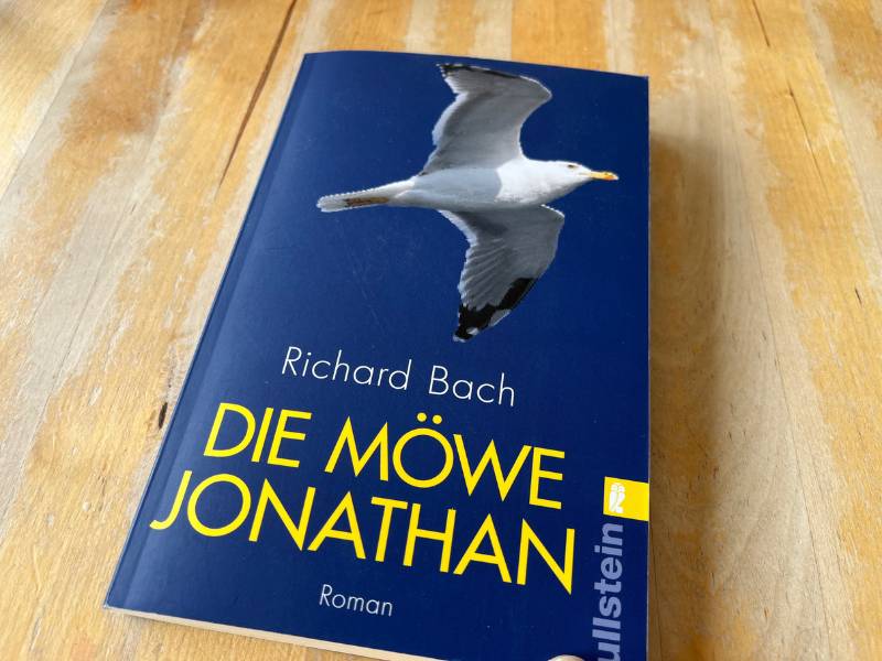10 von 12 / 12 von 12 Juni 2024: Die Möwe Jonathan