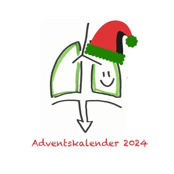Gezeichnetes Fenster mit Gesicht und Weihnachtsmütze, darunter der Schriftzug "Adventskalender 2024"