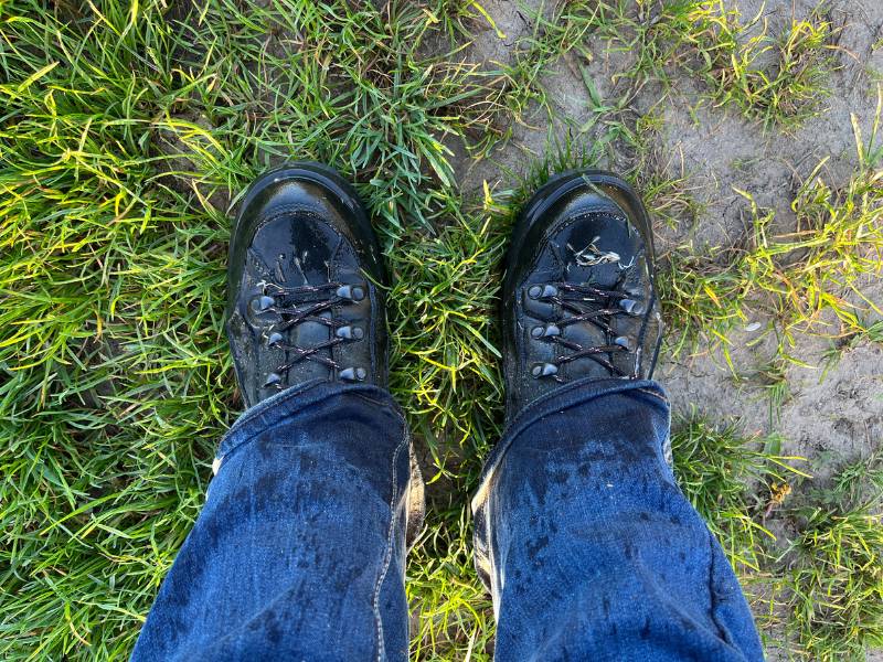 Nasse Wanderschuhe: 12 von 12 April 2024 4 von 12