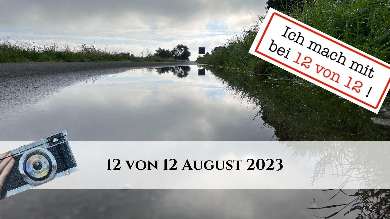 12 von 12 August 2023: 12 Bilder – ein Tag