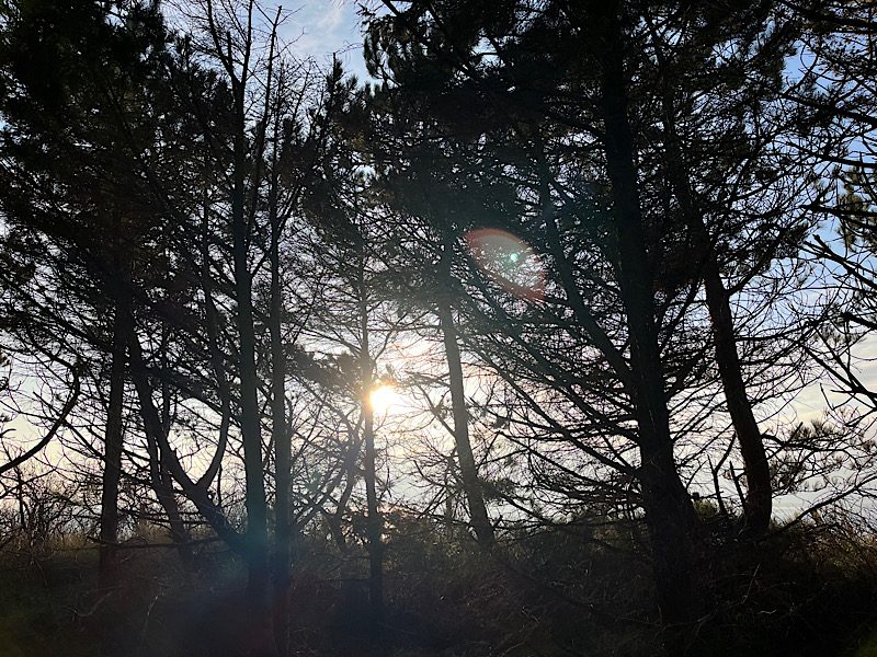 12 von 12 Dezember 2022: 10 von 12 - Nachmittagssonne beim Walking