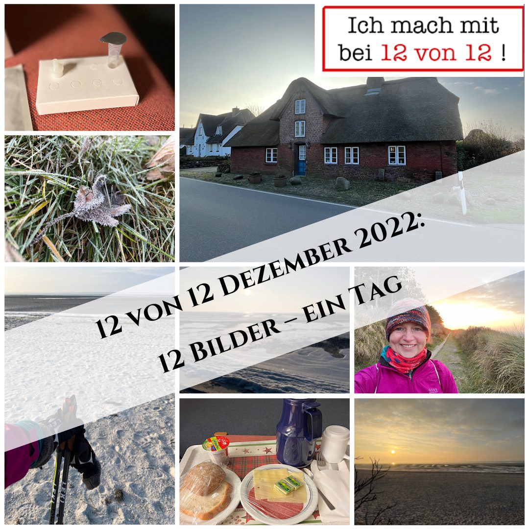 12 von 12 Dezember 2022: 12 Bilder – ein Tag