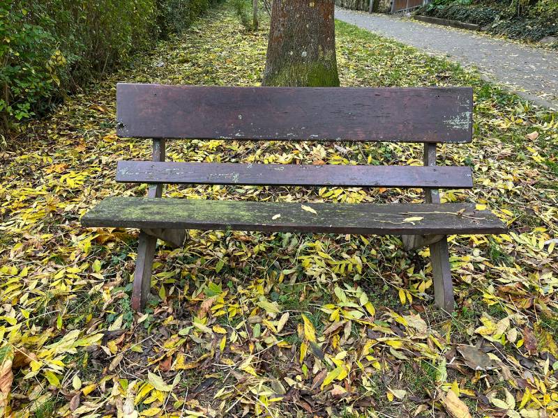 12 von 12 November 2023 - 6 von 12: Bank im Herbst