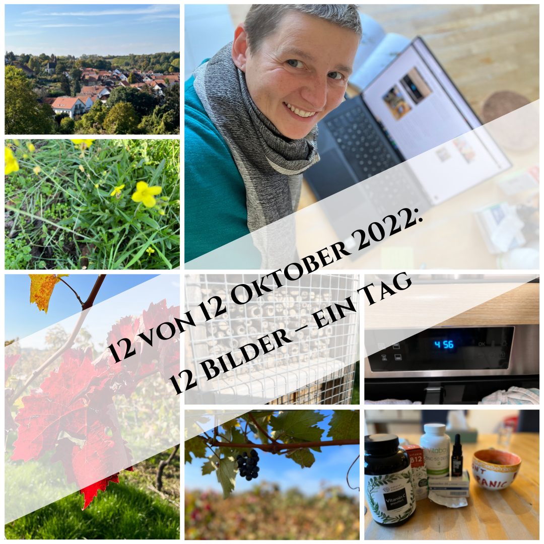 12 von 12 Oktober 2022: 12 Bilder – ein Tag