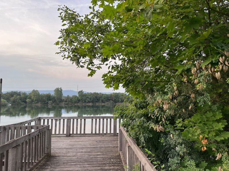 12 von 12 September 2023 - 11 von 12: Ikasee in Ingelheim