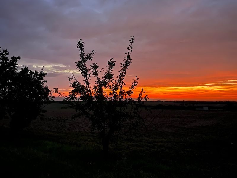 3 von 12: Sonnenaufgang im September