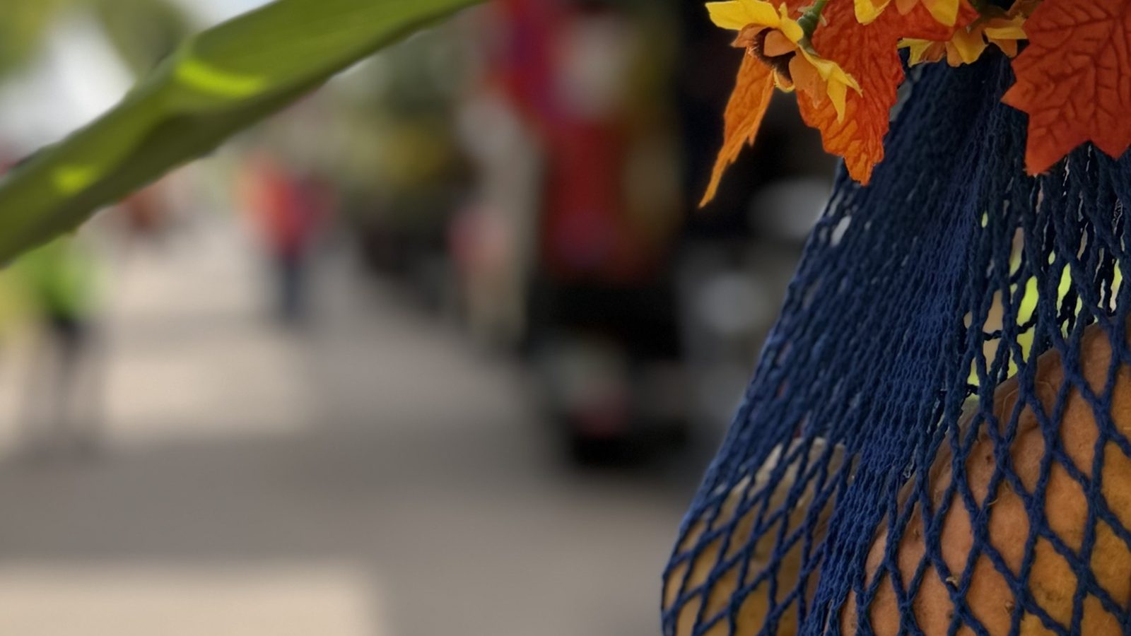 12 von 12 September 2026 - blauer Netzbeutel mit Kartoffeln, geschmückt mit orangefarbenen Herbstblättern und Sonnenblumen, dahinter unscharf die Festmeile