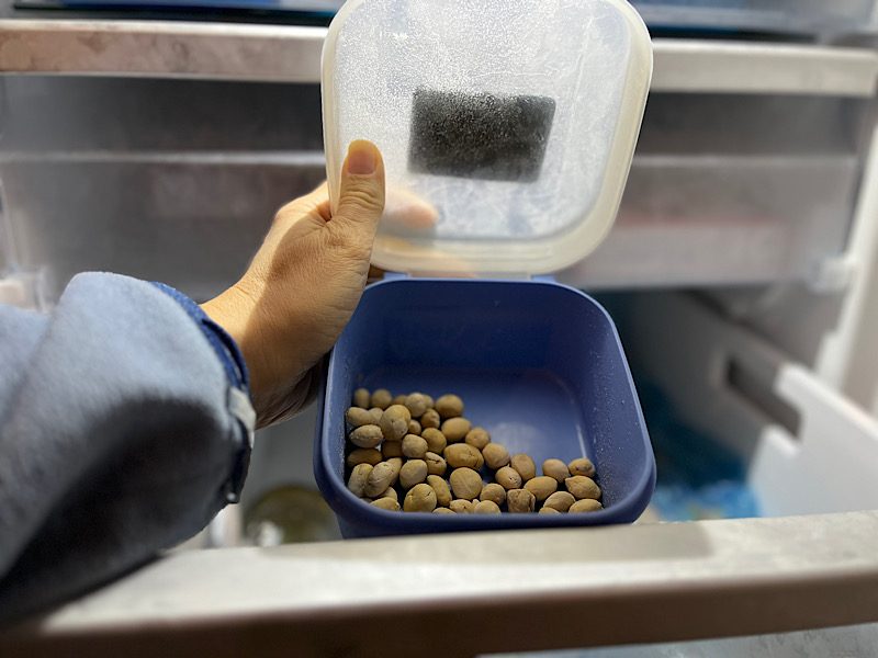 Hand öffnet eine blaue Vorratsdose mit Linsen