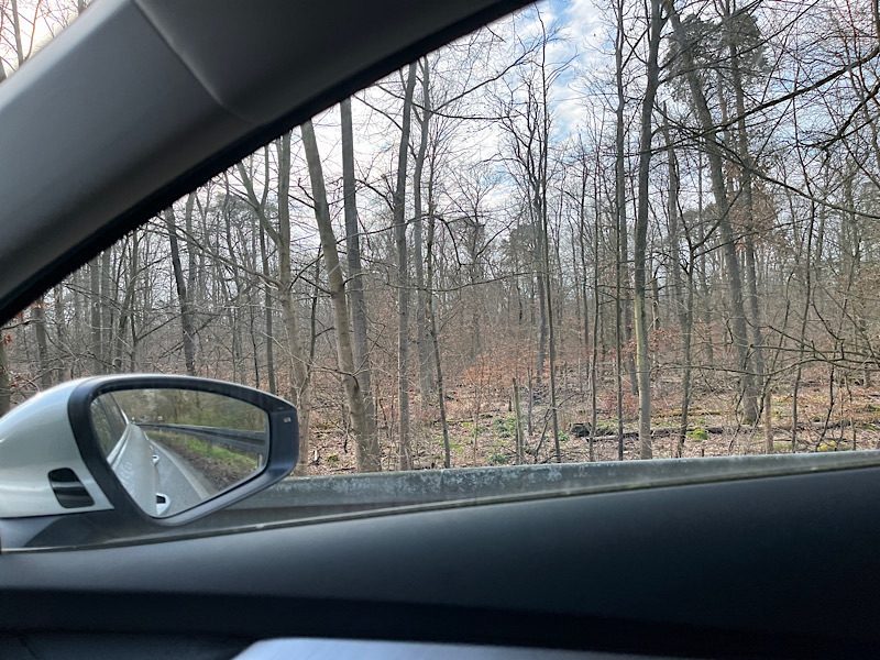Wald