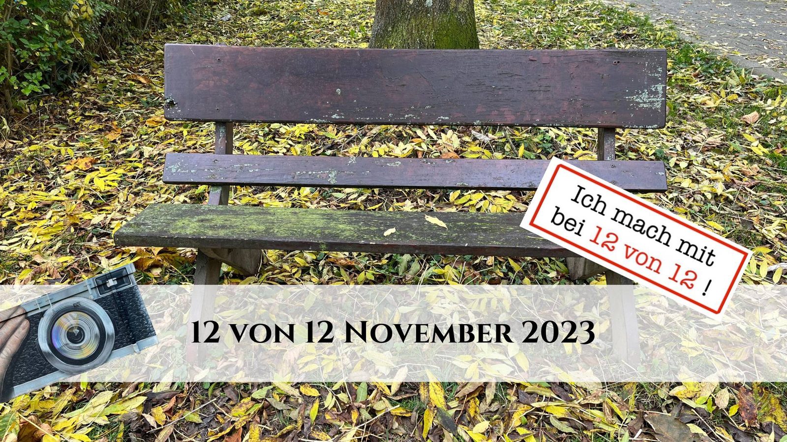 12 von 12 November 2023: 12 Bilder – ein Tag