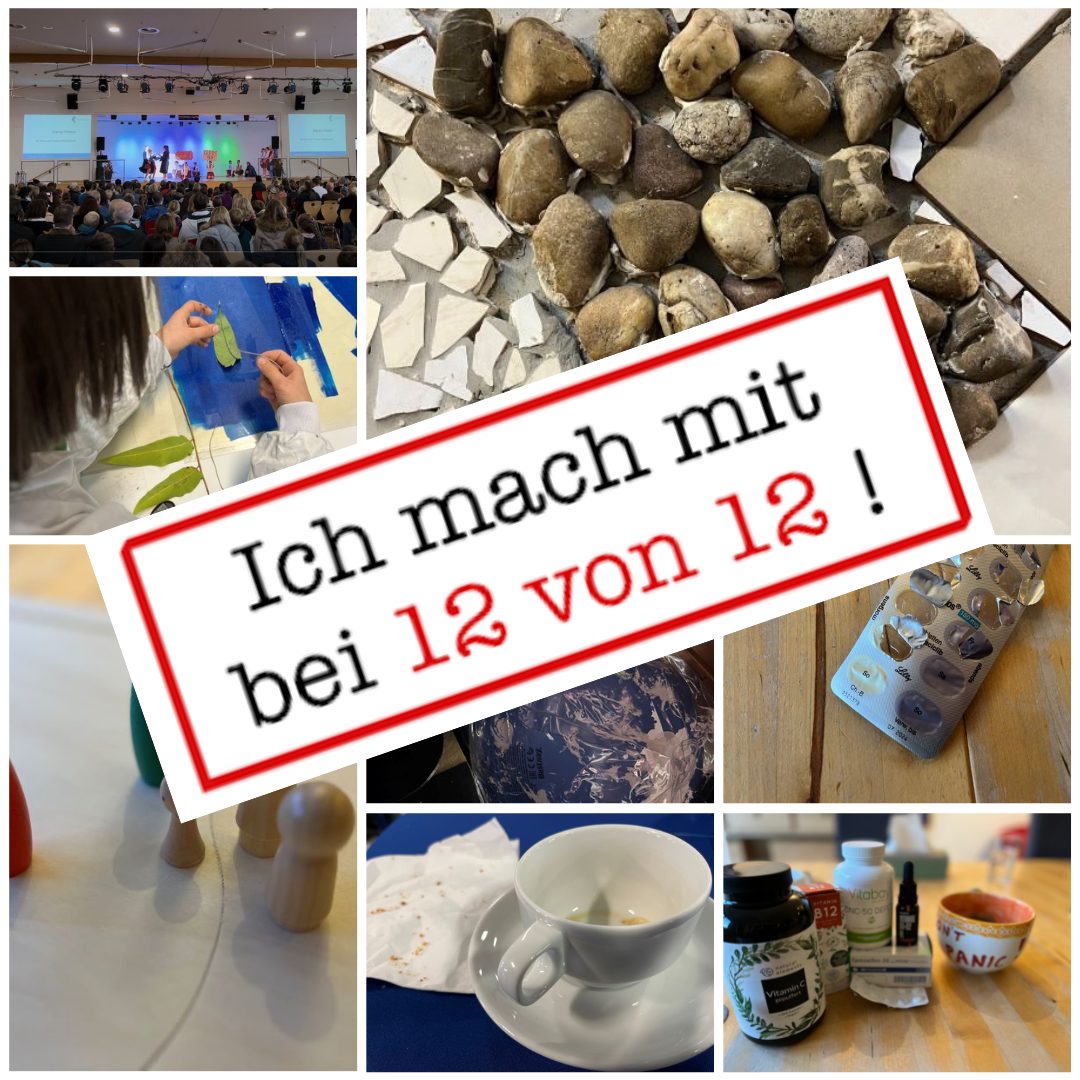 12 von 12 November 2022: 12 Bilder – ein Tag