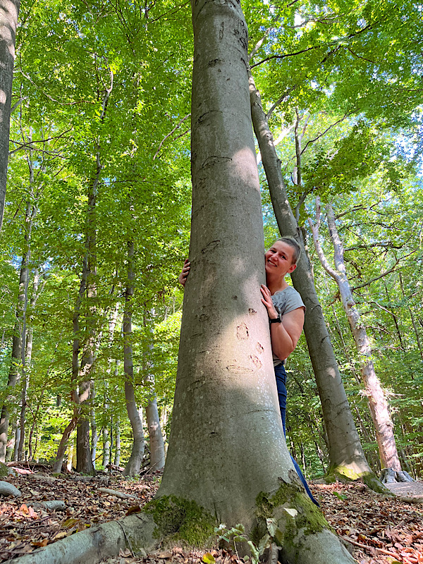 Waldbaden - wann hast du zuletzt einen Baum umarmt?