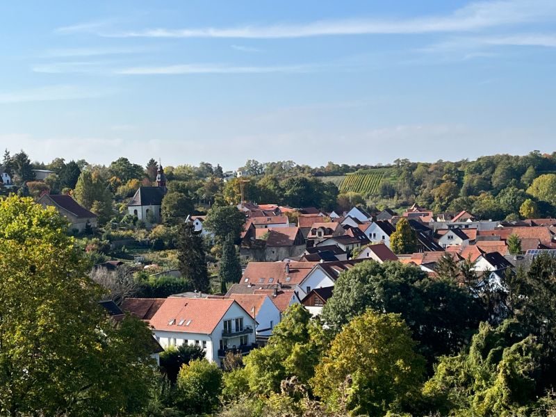 12 von 12 Oktober 2022: Ansicht auf "unser" Dorf / Wackernheim (4 von 12)