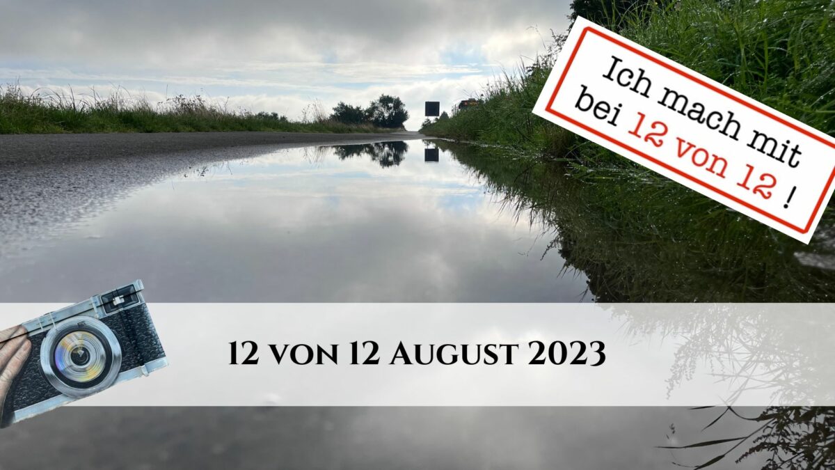 12 von 12 August 2023 - 12 Bilder 1 Tag
