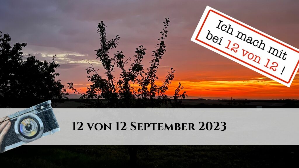 12 von 12 September 2023 - 12 Bilder 1 Tag - Titelbild (Sonnenaufgang)