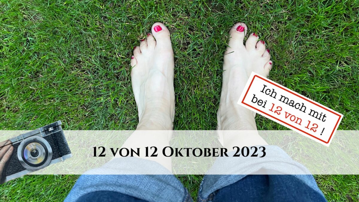 12 von 12 Oktober 2023 - 12 Bilder 1 Tag - Titelbild
