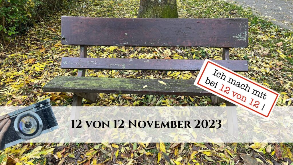 12 von 12 November 2023 - Titelbild - Ich mach mit bei 12 von 12
