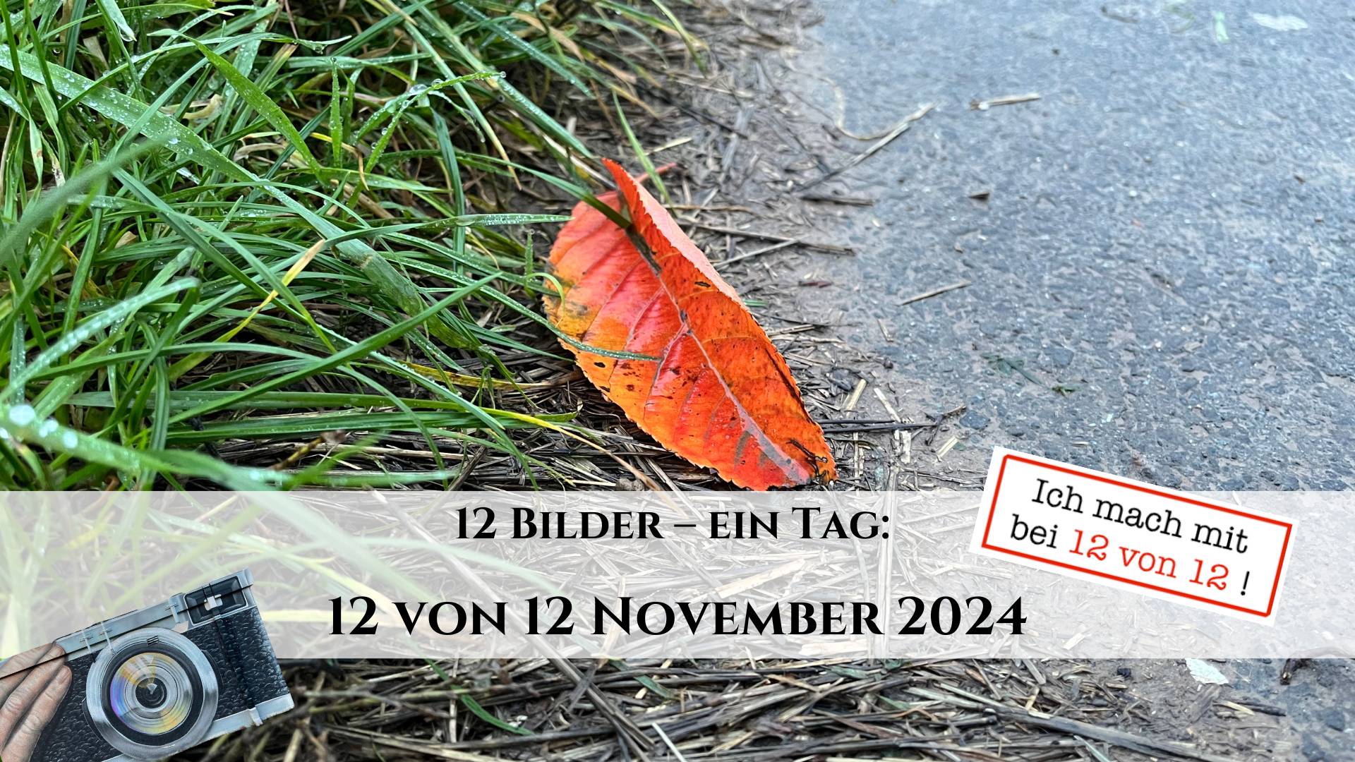 12 von 12 November 2024 - 12 Bilder 1 Tag - Titelbild; rotes Laubblatt im Gras neben einer Straße, Kamera, Beschriftung