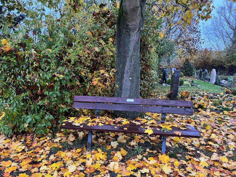 12 von 12 November 2024 - 6 von 12: Bank mit viel Herbstlaub auf einem Friedhof