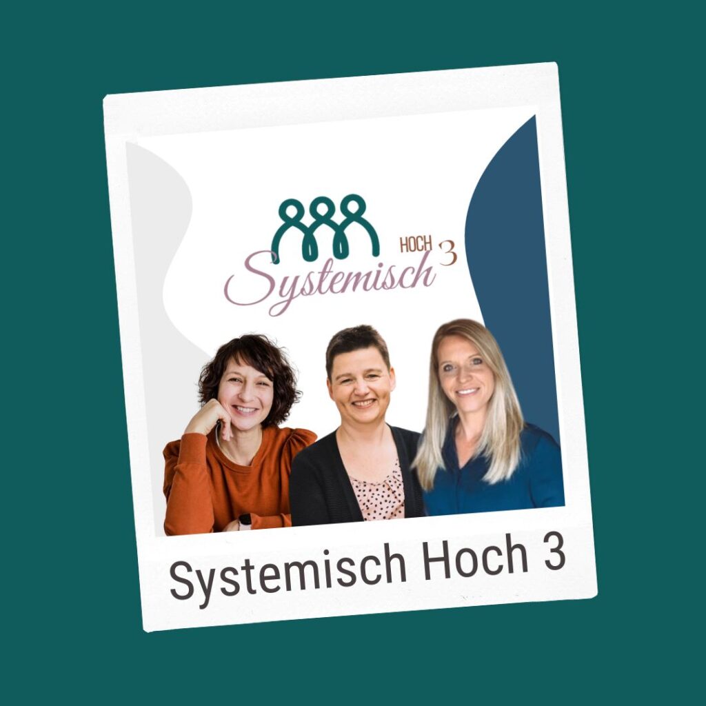 systemisch hoch 3 - Kristin Frank, Danielle Berg, Melanie Hoffmann