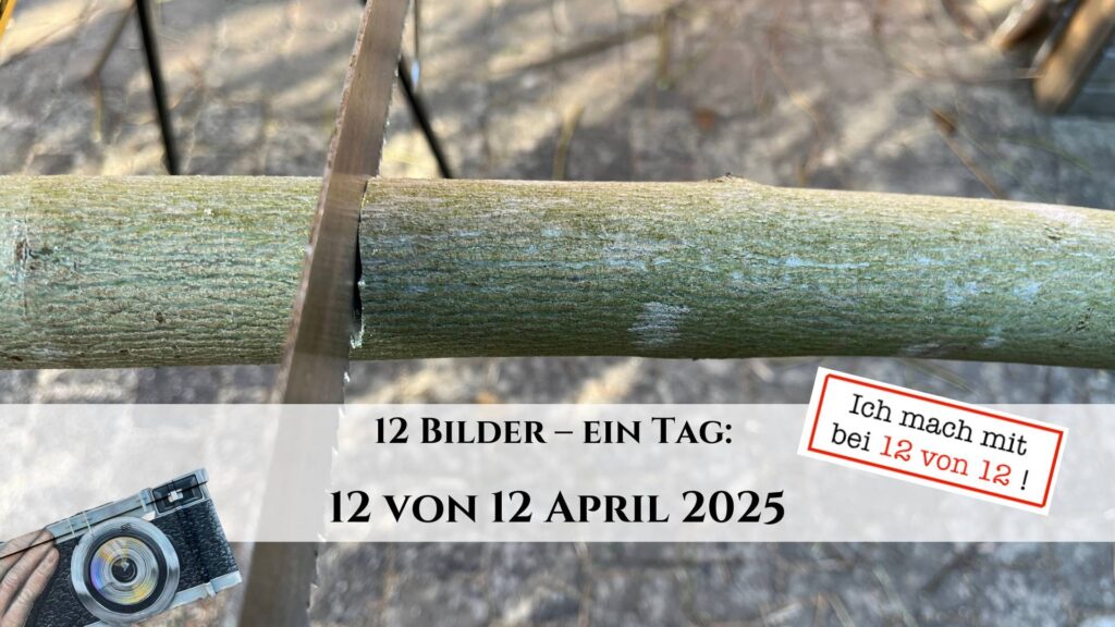 12 von 12 April 2025 - 12 Bilder 1 Tag: Holz sägen