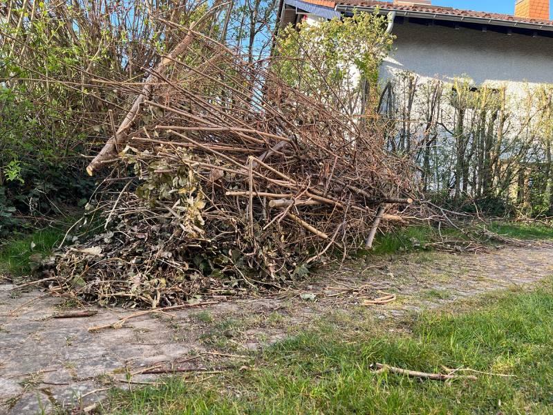3 von 12 - 12 von 12 April 2025 - Grünschnitt Haufen