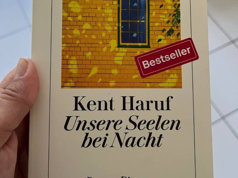 Buch - unsere Seelen bei Nacht