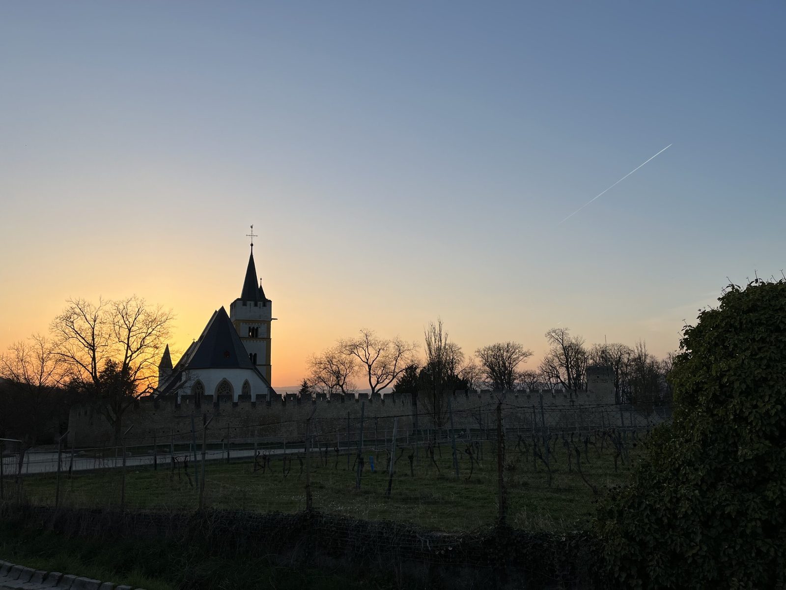 Wetter genießen: Burgkirche Ingelheim