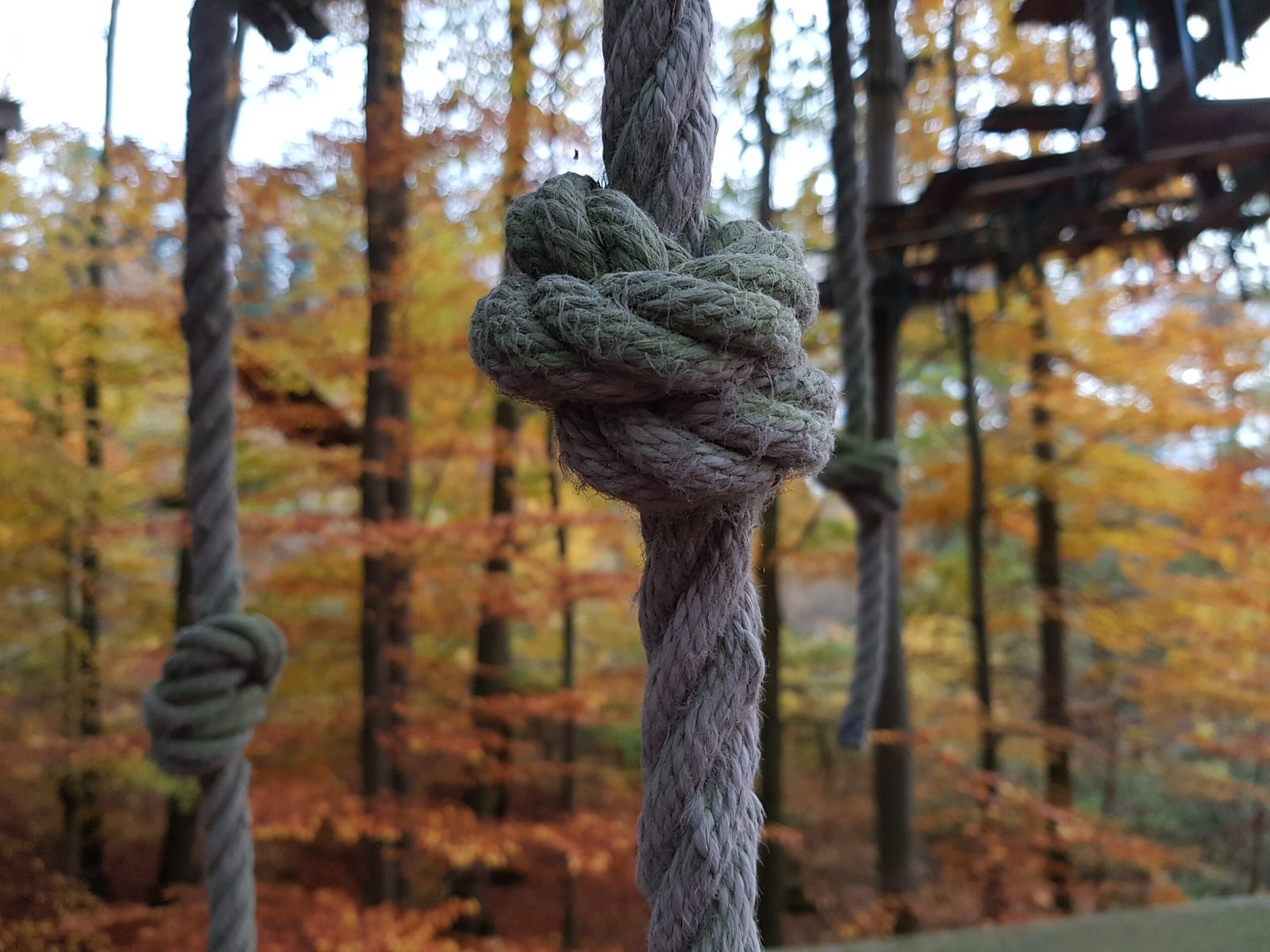 Der Knoten ist geplatzt – Das Gespräch mit der Frauenärztin