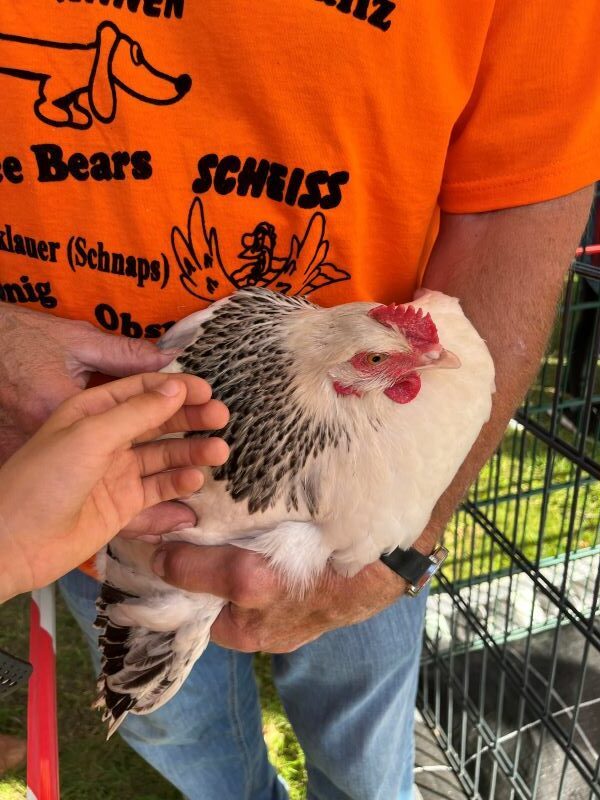 Erntefest Bärenklau - Scheißhuhn