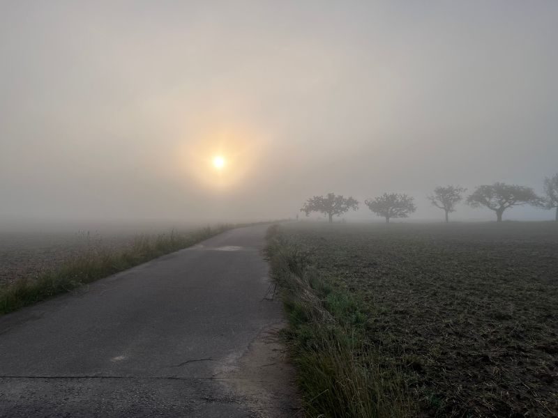 Monatsrückblick August 2023 - Nebel