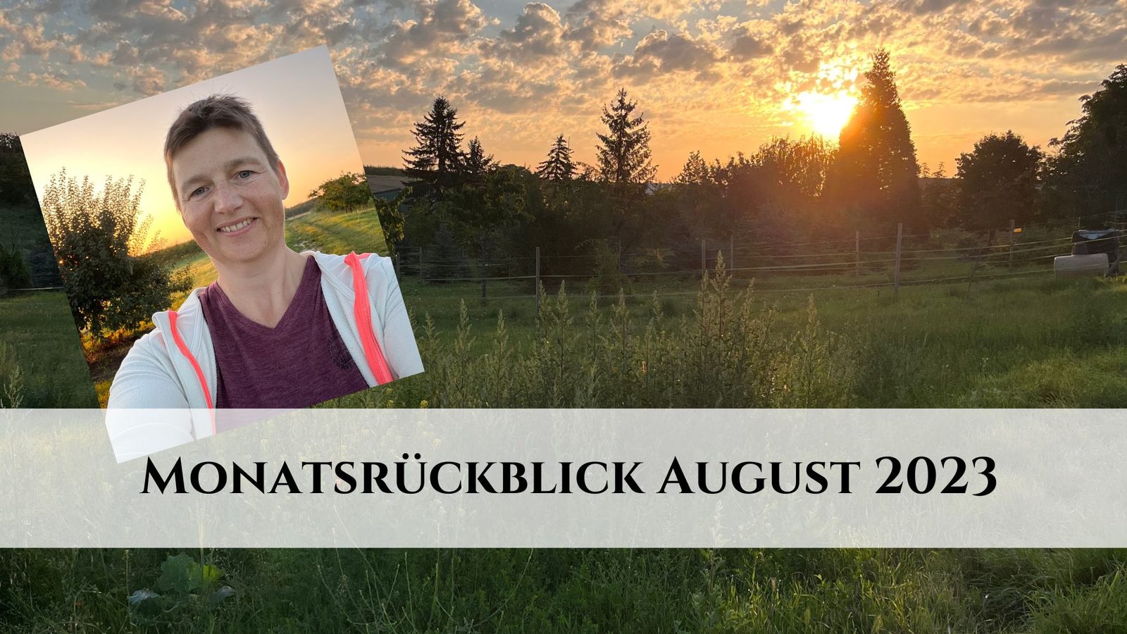 Monatsrückblick August 2023: Im Strudel des Lebens