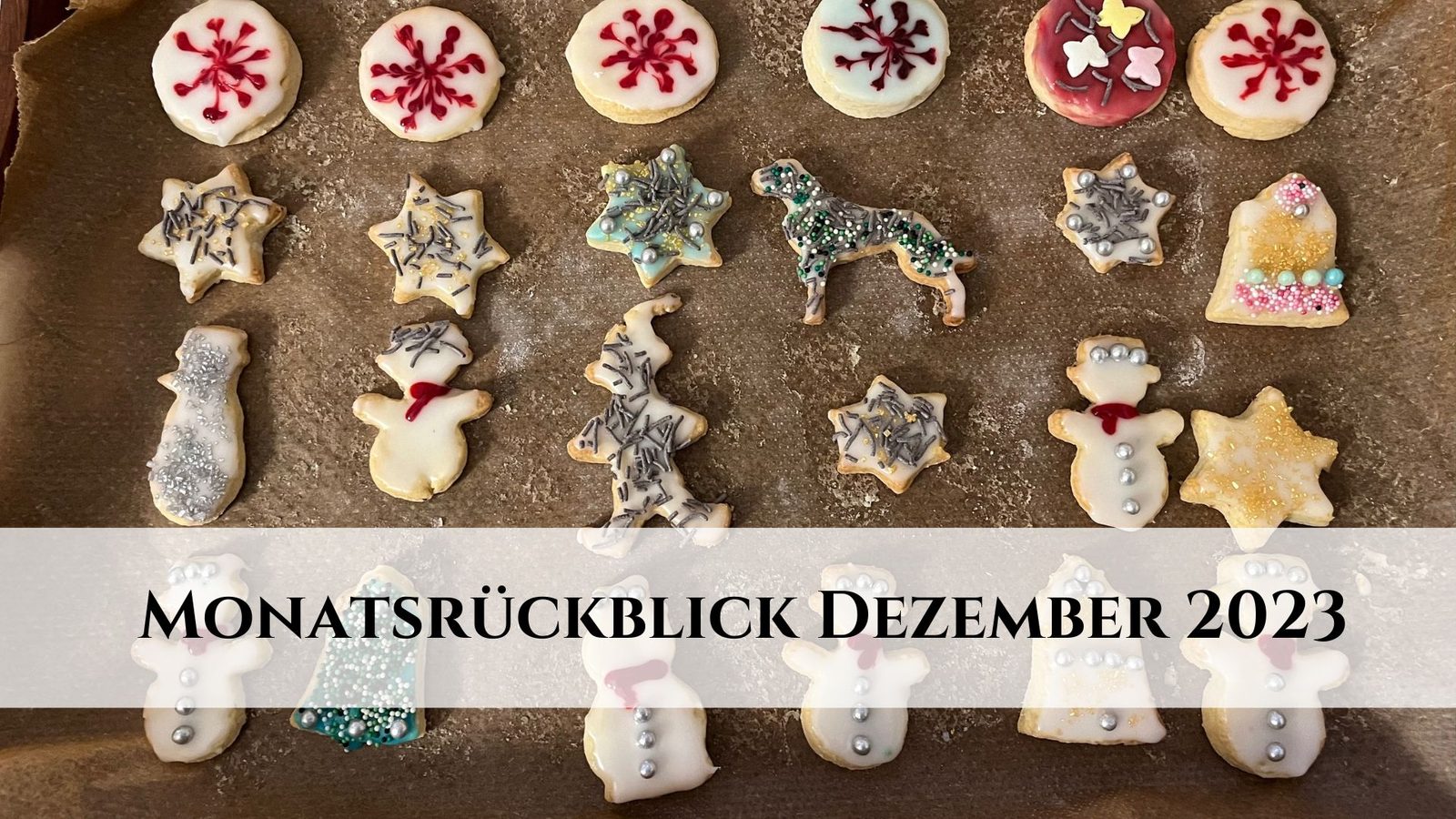 Monatsrückblick Dezember 2023: Viele erste Male