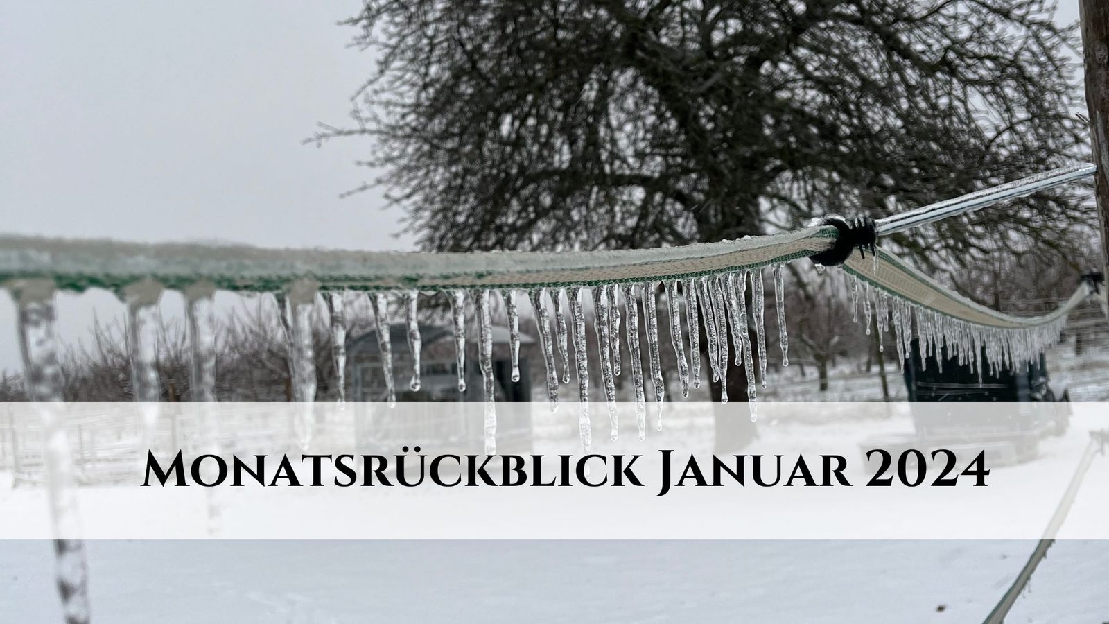 Monatsrückblick Januar 2024 - Eiszapfen