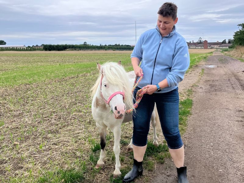 Monatsrückblick Juli 2023 - Pferde-Spaziergang