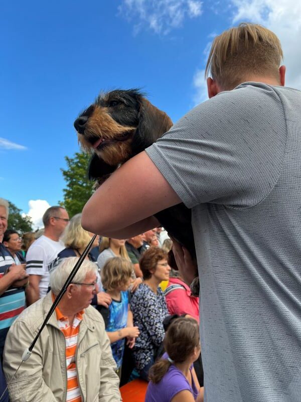 Erntefest Bärenklau - Dackelrennen