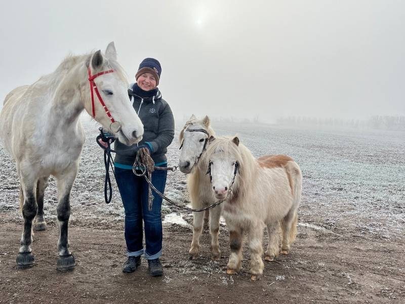 3 weiße Ponys und eine Frau im Nebel