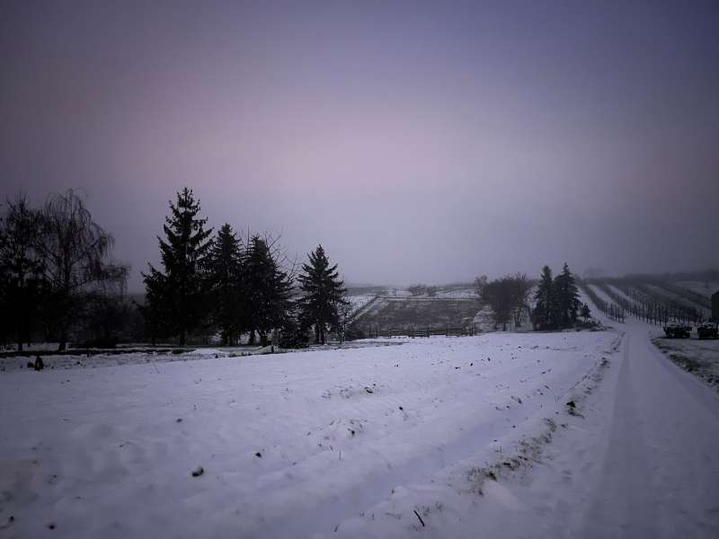 Schneespaziergang