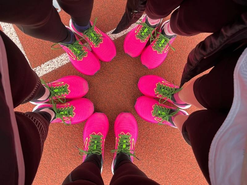 5 Paar rosa Schuhe