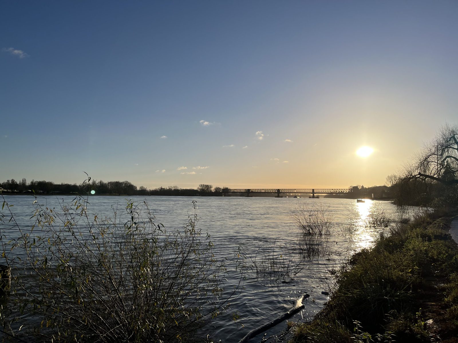 Rhein bei Mainz mit Eisenbahnbrücke in der tiefstehenden Wintersonne