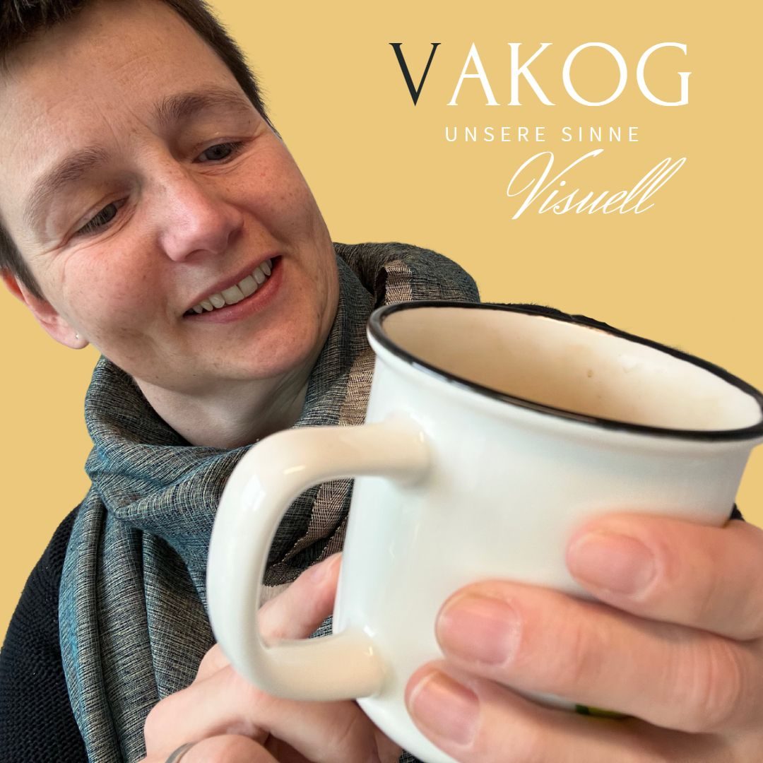 VAKOG - Sinneskanal visuell