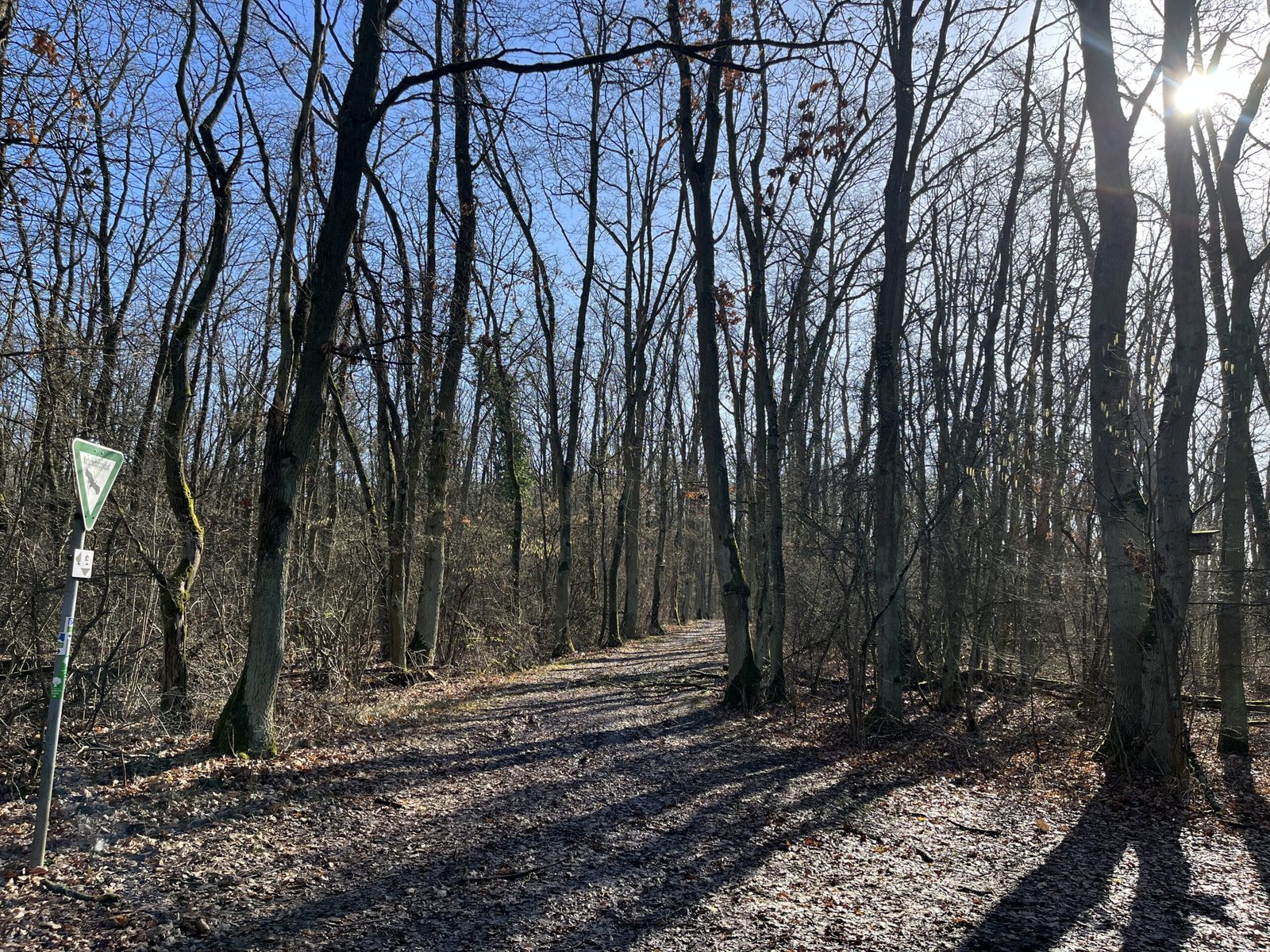 Die Sonne genießen