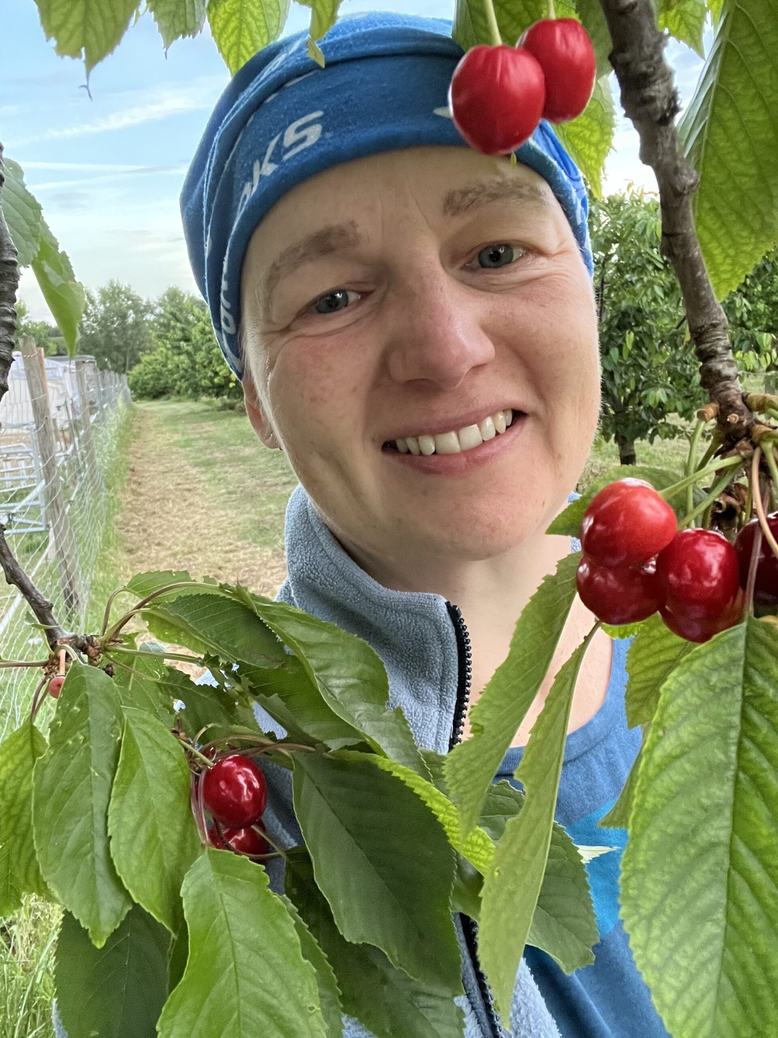 Wow! Die Kirschen sind schon rot