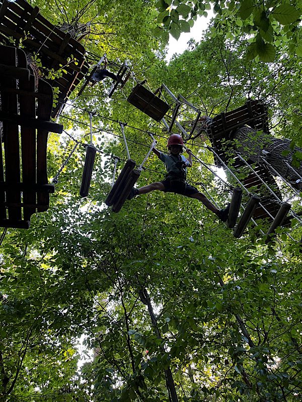Hochseilgarten: Kletterpark am Neroberg