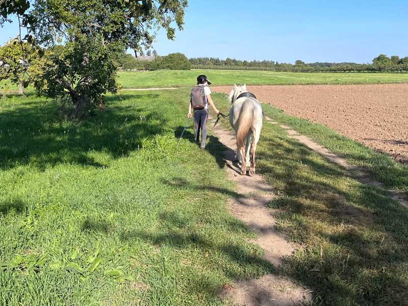 Kind führt weißes Pony selbständig