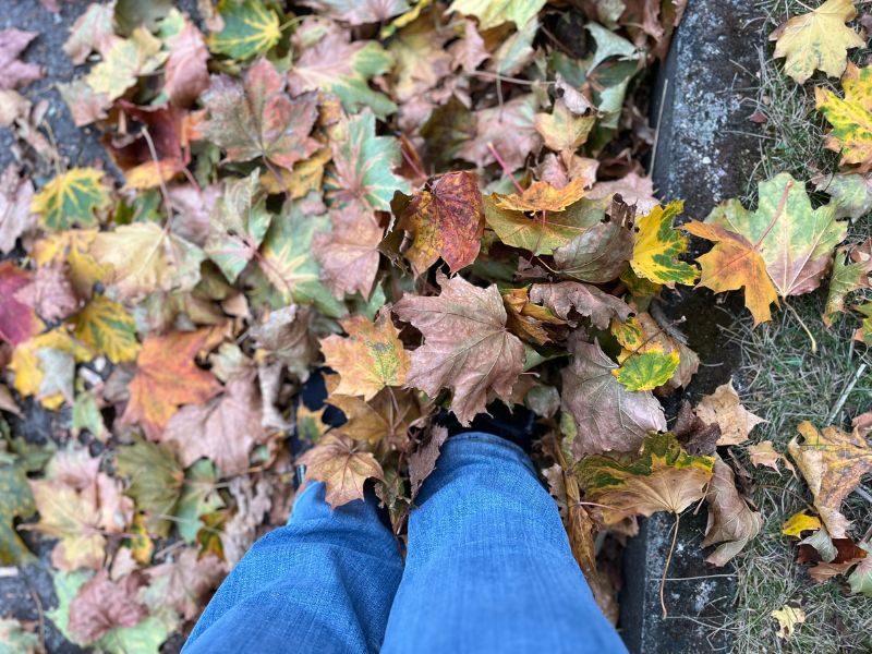 Mit den Füßen im Herbstlaub