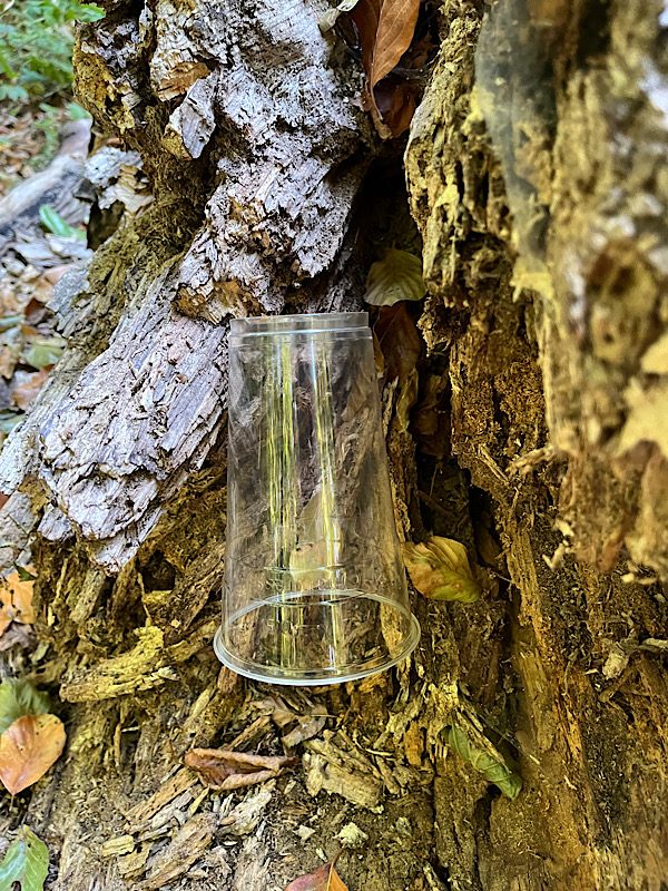 Waldbaden: Hinterlassenschaften des Homo Sapiens