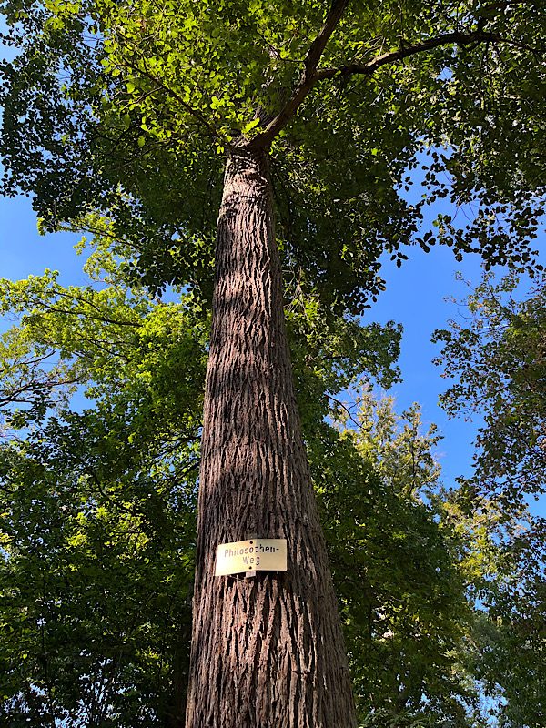 Waldbaden: Philosophenweg am Neroberg